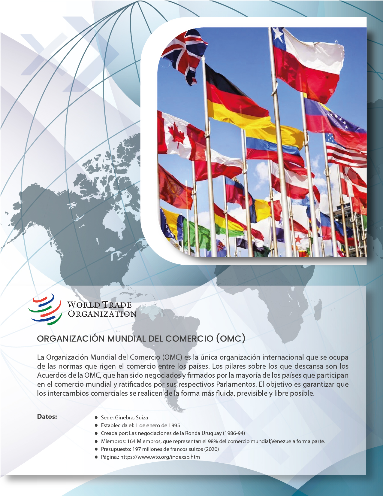 1 ORGANIZACIÓN MUNDIAL DEL COMERCIO (OMC)(1)