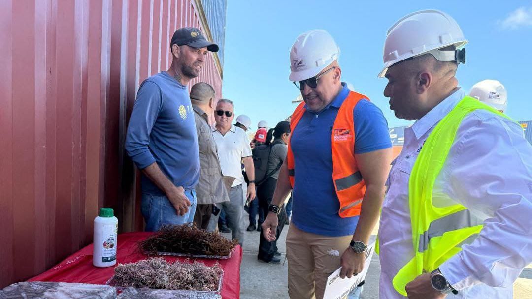 photo_5174852773667867538_y