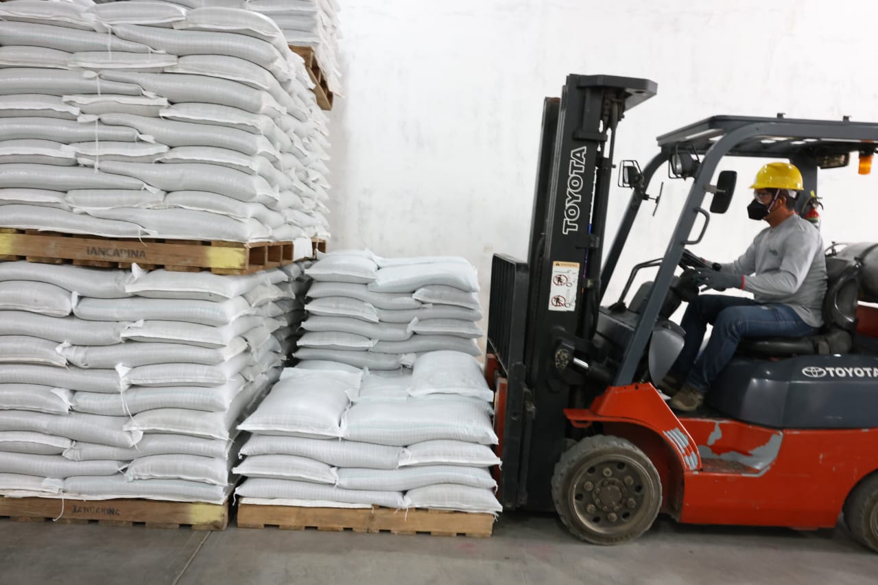 WhatsApp Image 2026-02-10 at 11.57.41 AM